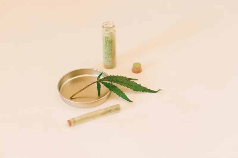 Better Together: The Science of Why Whole-Plant Hemp Oil Outperforms the Sum of Its Parts